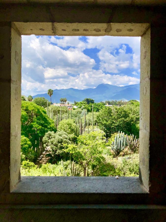 Beautiful Apartment In Oaxaca City'S Best Location Exteriör bild